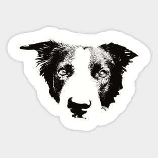 Border Collie gift for Collie Owners Sticker